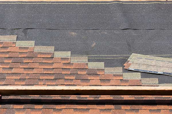 View All Roofing Services